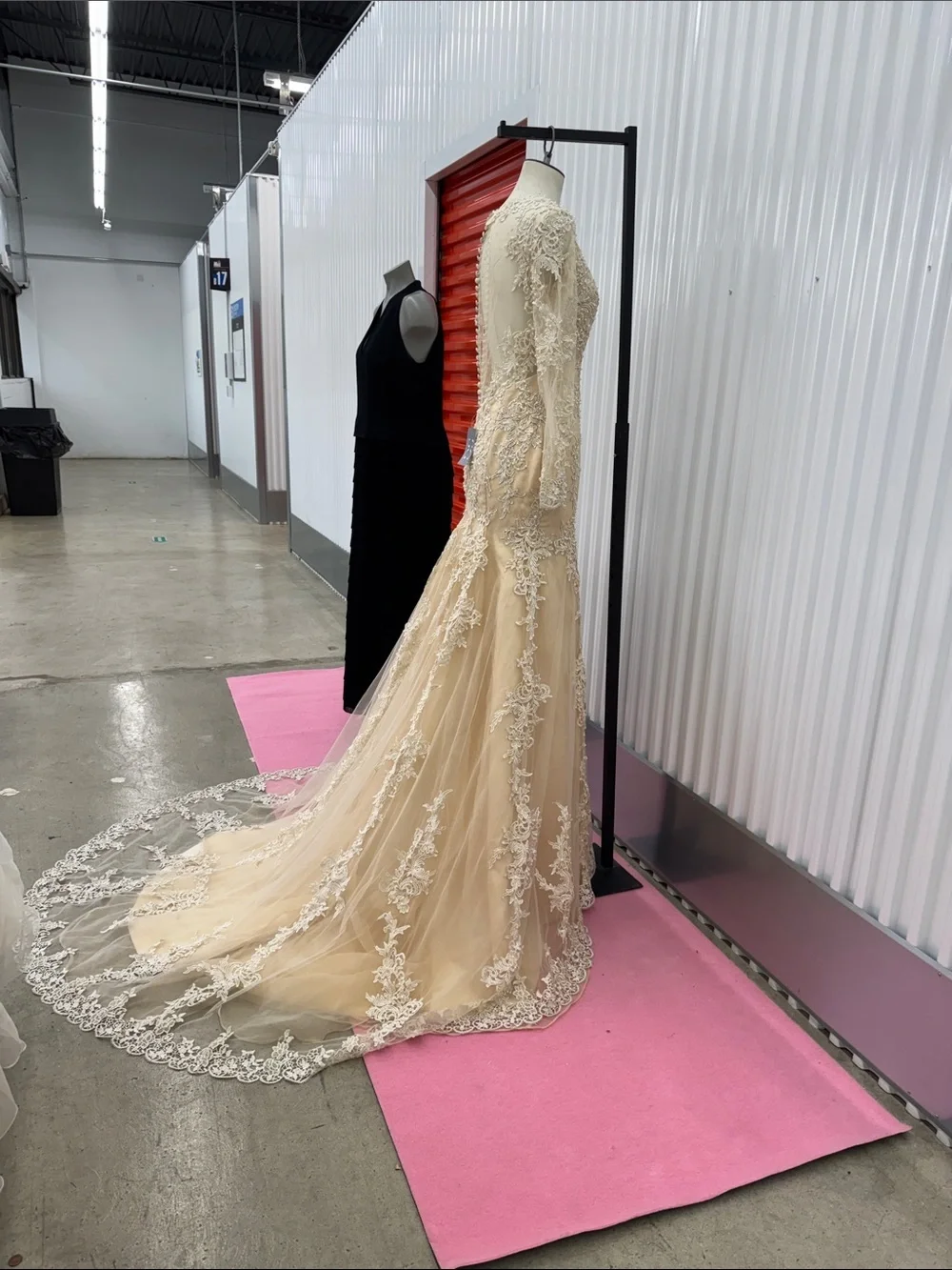 Elegant Lace Long Sleeve Dress - Picture 8 of 17